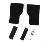 Springwillfly Kit de servicio de filtro de aire para generadores EU20i EU22i que comprende filtro exterior de filtro interior y para conjuntos de filtro de chispa