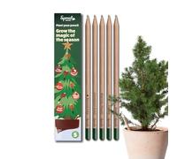 Sprout World Lápices Plantables | Edición de Navidad | Lápices de madera HB con semillas de invierno | Preafilados | Set de 5 | lápices navideños sostenibles