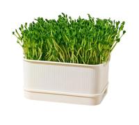 Sprouting Tray - Soil Free Propagator with Lid Bean Pea Wheatgrass Growing Home Cultivation | Ventilated Hydro Seedling Container with Drain Grid, Indoor Germination Box for Easy Planting Kitchens