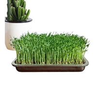 Sprouting Tray - Stainless Steel Rustproof Large Capacity Seedling Grower | Indoor Outdoor Cultivation Tray For Beans, Herbs, Home Garden, Office Gardening, Easy Plant Starter Kit For