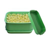 Sprouting Trays - Soil-Free Germination Container, Stackable Grow Tray with Drain Holes | Soilless Sprout Growing System for Home, Indoor Outdoor Garden, Wheatgrass, Bean Sprouts, Broccoli