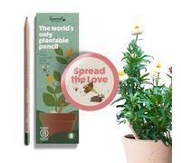 SproutWorld Lápices plantables I Spread The Love Edition | Pack de 8 | lápices de grafito plantables | de madera ecológica I Un regalo desde el corazón