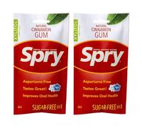 Spry On The Go Fresh Natural Xylitol Chewing Gum Dental Defense System - Aspartame-Free, Sugar-Free, Non-GMO (Cinnamon, 55 Count - Pack of 2)