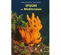 Spugne del Mediterraneo. Ediz. illustrata (Natura)