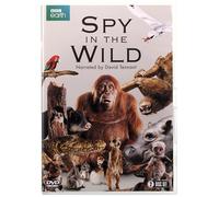 Spy in the Wild
