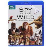Spy in the Wild (BBC) (2-disc) [Blu-ray] [Reino Unido]