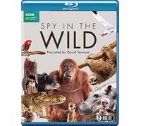 Spy in the Wild (Blu-ray) David Tennant