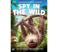 Spy In The Wild [Edizione: Stati Uniti] [Italia] [DVD]