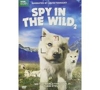 Spy In The Wild: Part 2 [Edizione: Stati Uniti] [Italia] [DVD]