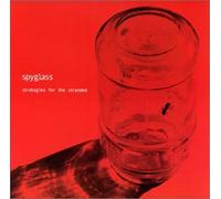 Spyglass - Strategies for Stranded