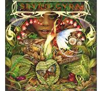Spyro Gyra - Morning Dance (Jpn) (Ltd)