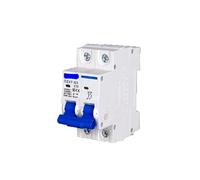 SQIANKUN Diferencial Rearmable Disyuntor Mini MCB Tipo C de 35 mm, Capacidad Corte DZ47, 1-4 Polos, 3 A/6 A/10 A/16 A/20 A/32 A/40 A/50 A/63 A, 400 V(2,20A)