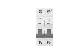 SQIANKUN Diferencial Rearmable Mini disyuntor de 2 Polos CC 500 V, Interruptor protección contra sobrecarga, 6 A ~ 32 A/40 A/50 A/63(32A)