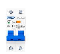 SQIANKUN Diferencial Rearmable Protector contra Fugas MCB Tipo C de 2 Polos, CA 230 V, RCBO, protección sobrecarga y Cortocircuito, Interruptor diferencial Corriente Residual RCCB RCD(32A)