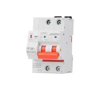 SQIANKUN Diferencial Rearmable Temporizador de disyuntor 2P, Interruptor Inteligente Remoto, relé Voltaje Cortocircuito y sobrecarga(20A)