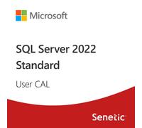 SQL Server 2022 - 1 User CAL