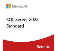 SQL Server 2022 Standard Edition