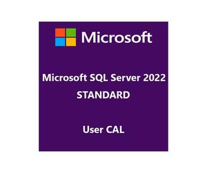 SQL Server 2022 Standard User CAL