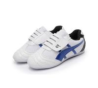 SQOYEI Clásicos Moda Suela de Goma Ligeros Antideslizantes, Zapatos de Taekwondo para Tenis, Tai Chi Zapatos Transpirables Adolescentes(44 EU)