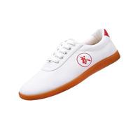 SQOYEI Zapatos de Taekwondo para Hombre Antideslizantes Transpirables, Parte Superior de Lona Suela de Goma para Taekwondo, Kárate Unisex Tai Chi Zapatos(White,40EU_B)