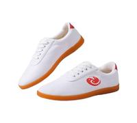 SQOYEI Zapatos de Taekwondo para Hombre Antideslizantes Transpirables, Parte Superior de Lona Suela de Goma para Taekwondo, Kárate Unisex Tai Chi Zapatos(White,36EU_C)