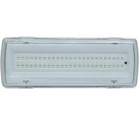 SQUADO - Lámpara de emergencia con 50 LED integrada y batería de luz blanca de 4 W [Clase de eficiencia energética A]