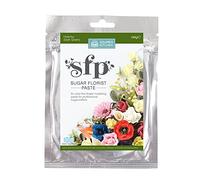 Squires Kitchen 100g Ready Made Sugar Florist Paste - Dark Green