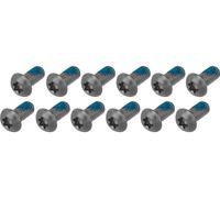 SRAM Tornillos de fijación de titanio para discos de freno gris one_size