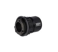 Elite Sport Cuerpo rueda libre SRAM XD/XDR – para rodillos Elite, compatible 10-12 velocidades
