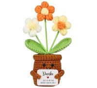Srcasy Pocket Hug Flor Positiva, Positive Flores De Ganchillo Regalo, Planta De Apoyo Emocional, Ganchillo Positivo De Felpa De Flores Divertidas, para Amigos, Colegas, Familia y para Ti Mismo