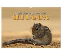 Sri Lanka - Tierische Momente (Wandkalender 2026 DIN A2 quer), CALVENDO Monatskalender: Dieser Kalender gibt einen Einblick in die Tierwelt Sri Lankas