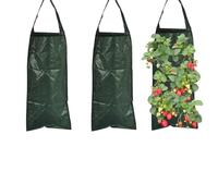 SRJQXH Saco para Plantas 3 Piezas Bolsas para Plantar Colgante Vertical Bolsa Cultivo Flores Transpirable 10 Orificios Adecuado para Fresas, Tomates y Plantas Hortalizas (Verde Oscuro)