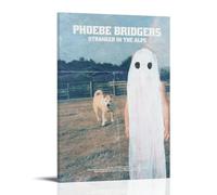 SRJUDR Póster de Phoebe Bridgers Stranger in The AlpsPosters Pop Wall Art & Prints - Lienzo decorativo para pared, 40 x 60 cm, estilo marco