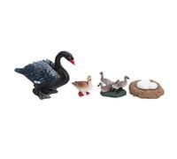 Srliya 4 Etapas del Ciclo de Vida del Pato Animal Modelo del Ciclo de Crecimiento Muestra Diferentes Etapas para las Ayudas de Enseñanza de Lecciones de Ciencias, Juguete Educativo para (B)