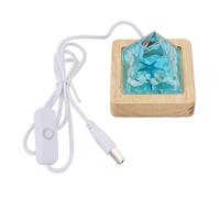 Srliya Luz de Paisaje Oceánico, USB, Luz Cálida, Control de Interruptor de Llave para Decoración del Hogar con Adorno de Resina Marina, Lámpara de Mesa, Nocturna