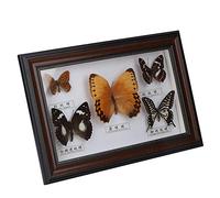 Srliya Taxidermia Mariposa 30 * 20 * 4 Exquisitas Mariposas Insecto Espécimen Artesanía Regalo de Cumpleaños Decoración del Hogar Ornamento (Marco Blanco) (Negro)