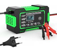 SRTMIRJJ Cargador Baterias Coche y Motocicleta para Car, Motorcycle, Boat, Electrogar, Vans,Trucks, 6A 12V Inteligente Mantenedor Bateria, con Pantalla LCD, Compensación Temperatura,Green