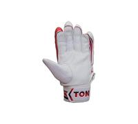 SS Ton Glory Cricket Batting Gloves (Men's - LH)