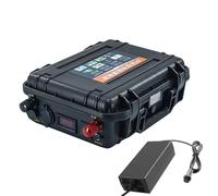 SSCYHT 12v120ah, Batería Litio Repuesto 12V 60Ah 80Ah 100Ah 120Ah 150Ah 200Ah para Motores fueraborda y Sistemas de propulsión Marina eléctricos para embarcaciones de Pesca