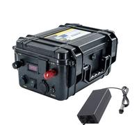 SSCYHT 12v150ah, Batería Litio Repuesto 12V 60Ah 80Ah 100Ah 120Ah 150Ah 200Ah para Motores fueraborda y Sistemas de propulsión Marina eléctricos para embarcaciones de Pesca