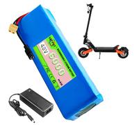 SSCYHT 13S3P Batería de Litio 48 voltios Batería para Patinete eléctrico Baterías Recargables Baterías Repuesto para Otros vehículos de Movilidad eléctrica con Cargador y BMS,48v6ah