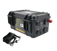SSCYHT 24v 60ah, Batería Litio Recargable 24V 12V 60Ah 80Ah 100Ah 120Ah 150Ah 200Ah Ideal para carritos de Golf, embarcaciones, autocaravanas, caravanas y Motores de Arrastre