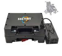SSCYHT 24v20ah, Batería Litio Recargable 24 voltios 8Ah 10Ah 12Ah 15Ah 18Ah 20Ah 25Ah 30Ah 35Ah 40Ah para Silla de Ruedas eléctrica con Enchufe Anderson para Motor de 50-1000W