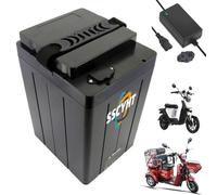 SSCYHT 60v20ah, Batería Iones Litio Triciclo eléctrico ciclomotor Scooter y Motocicleta, con Cargador 72V 60V 48V 18Ah 20Ah 22Ah 22,5Ah 24Ah 25Ah 28Ah 30Ah 40Ah 50Ah