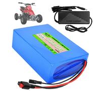 SSCYHT Batería de Litio 12,8 V Batería LiFePO4 36 Ah Baterías Scooter 12,8 V Baterías Recargables para energía de Respaldo con Cargador para Motores 250 W a 500 W,12.8v36ah Anderson