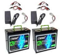 SSCYHT Batería de Litio 12 V Batería Ciclo Profundo 20 Ah Baterías LiFePO4 Baterías Repuesto para Aplicaciones solares y Fuera de la Red, sondas Pesca con BMS y asa,12v20ah 2pack