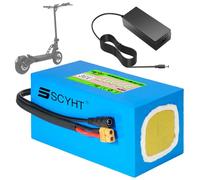 SSCYHT Batería de Litio 24 V y 8 Ah Batería Recargable 36 V y 10 Ah Baterías para Patinete 36 V Baterías monopatín para Kit Motor 100 W a 360 W con Cargador y BMS,36v10ah xt60