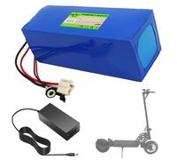 SSCYHT Batería de Repuesto 36 V 10 Ah y 12 Ah Batería de Litio 48 V 20 Ah y 8 Ah Baterías Iones Litio 36 V Baterías Scooter para Motor 250 W a 1000 W con Cargador y BMS,48v20ah 63090