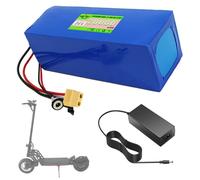 SSCYHT Batería de Repuesto 36 V 10 Ah y 12 Ah Batería de Litio 48 V 20 Ah y 8 Ah Baterías Iones Litio 36 V Baterías Scooter para Motor 250 W a 1000 W con Cargador y BMS,36v20ah xt60