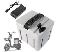SSCYHT Batería de Repuesto 48V 20Ah 15Ah Batería de Litio 8Ah Baterías Recargables 48V Baterías Motocicleta con Cargador y BMS para Kit Motor 250W a 1000W,48v20ah